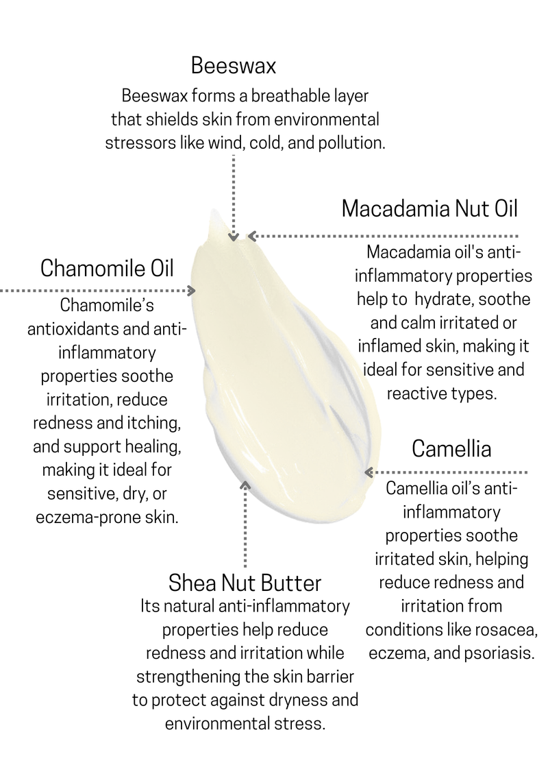 Camellia & Chamomile Night Moisturiser 50ml