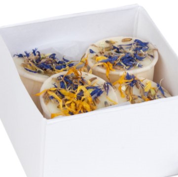 Bergamot, Juniper and Orange - Bath Melts